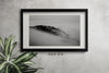 PRINTS AND FRAME